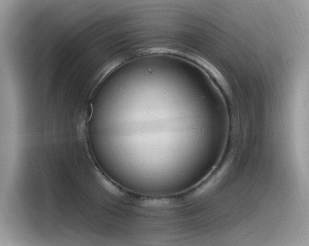 X0000115530801200911131504