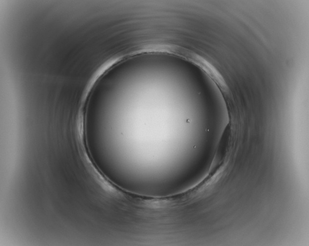 X0000115530804200911131504