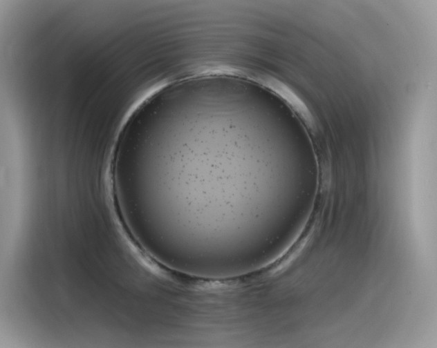 X0000115530806200911131504