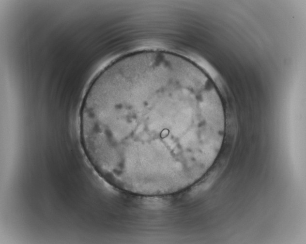 X0000115530807200911131504