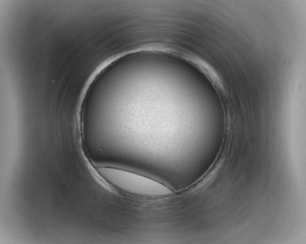 X0000115530808200911131504