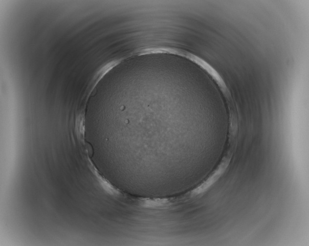 X0000115530809200911131504