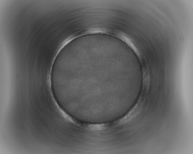 X0000115530810200911131504