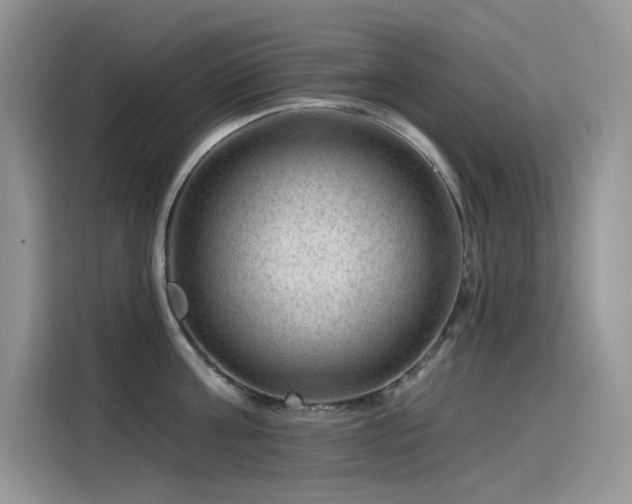 X0000115530811200911131504