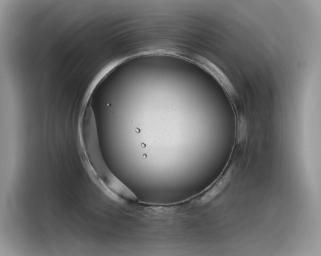 X0000115530812200911131504