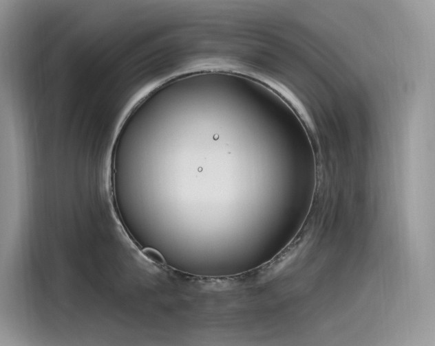 X0000115530815200911131504