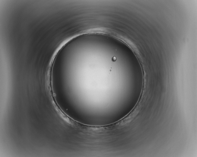 X0000115530816200911131504