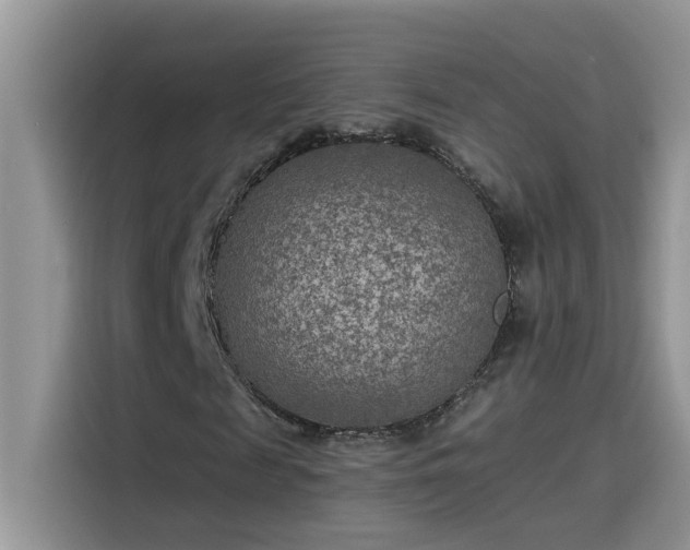 X0000115530817200911131503