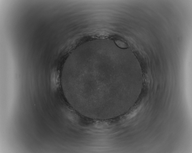 X0000115530818200911131503