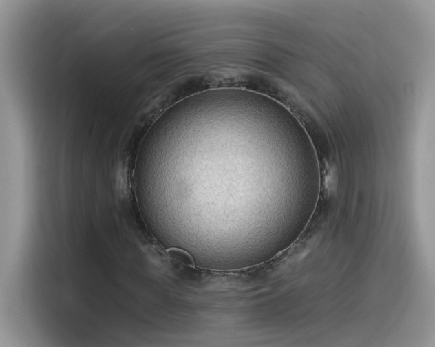 X0000115530819200911131503