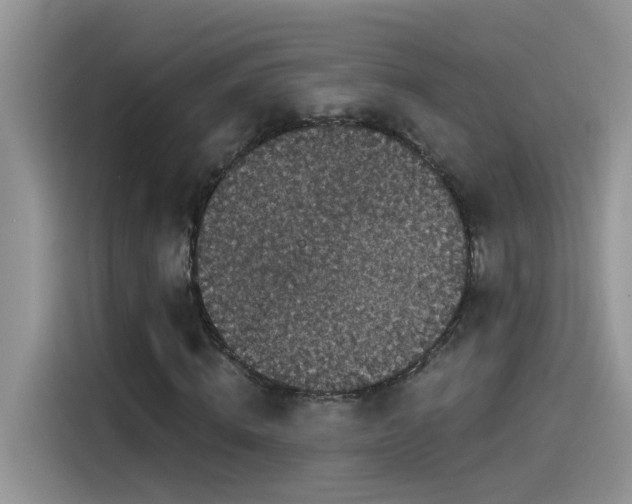 X0000115530820200911131503