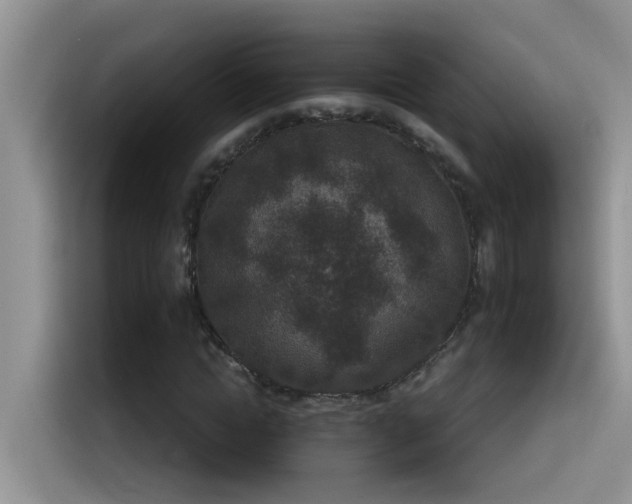 X0000115530822200911131503