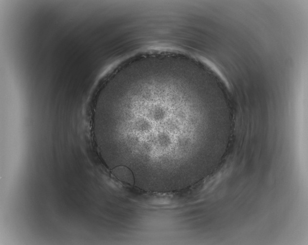 X0000115530823200911131503