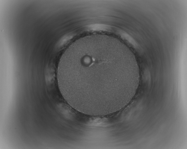 X0000115530824200911131503