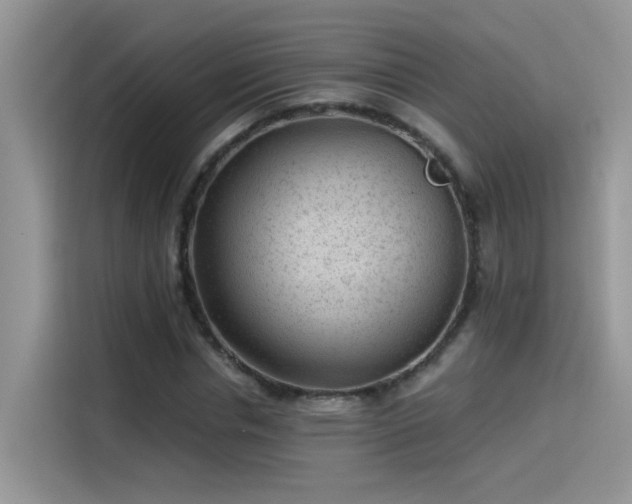 X0000115530826200911131503