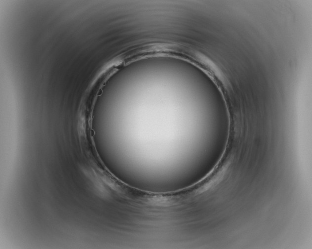 X0000115530827200911131503