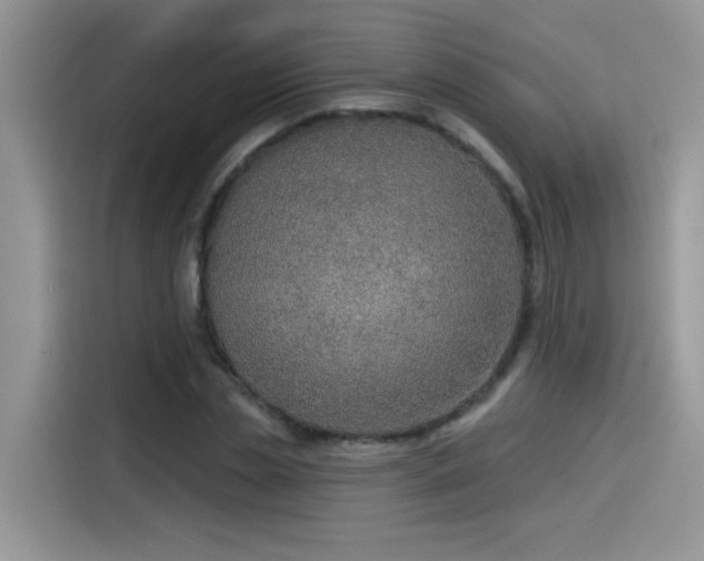 X0000115530829200911131503