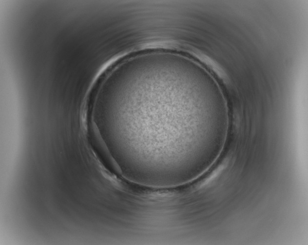 X0000115530830200911131503