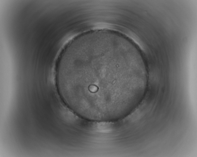 X0000115530832200911131503