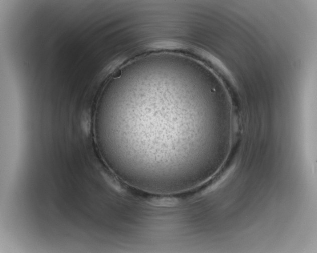 X0000115530833200911131503