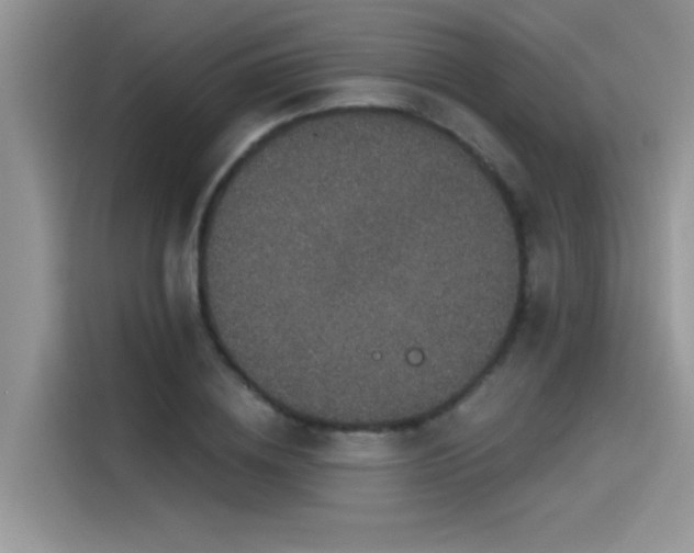 X0000115530836200911131504