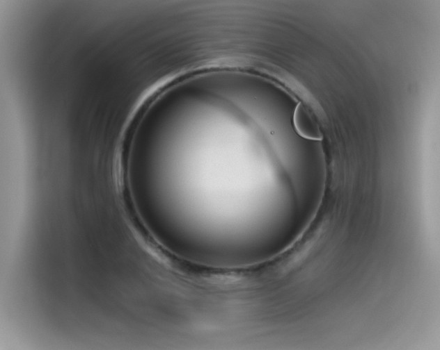 X0000115530838200911131504