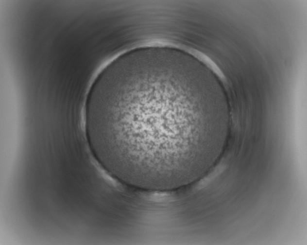 X0000115530839200911131504