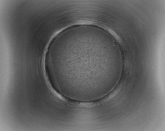 X0000115530840200911131504