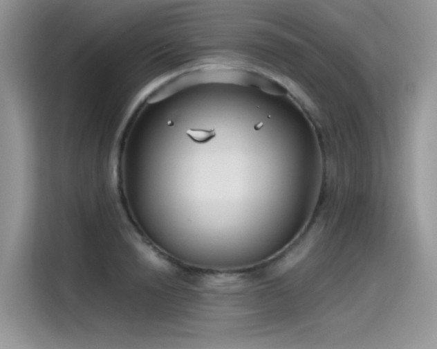 X0000115530846200911131504