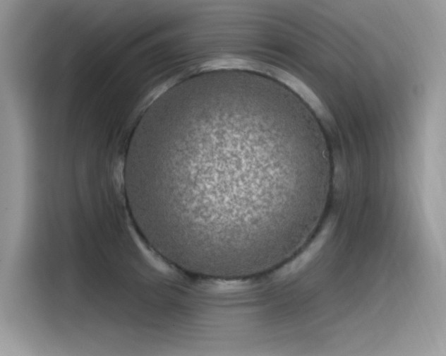 X0000115530849200911131504