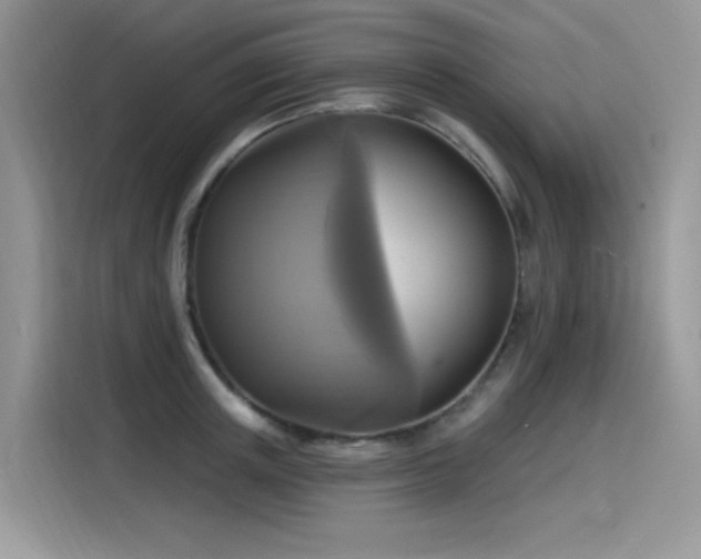 X0000115530851200911131504