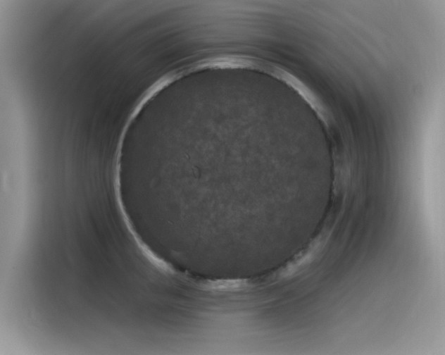 X0000115530853200911131504