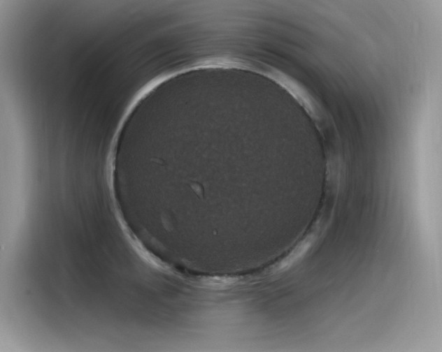 X0000115530854200911131504