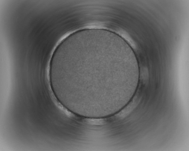 X0000115530856200911131504