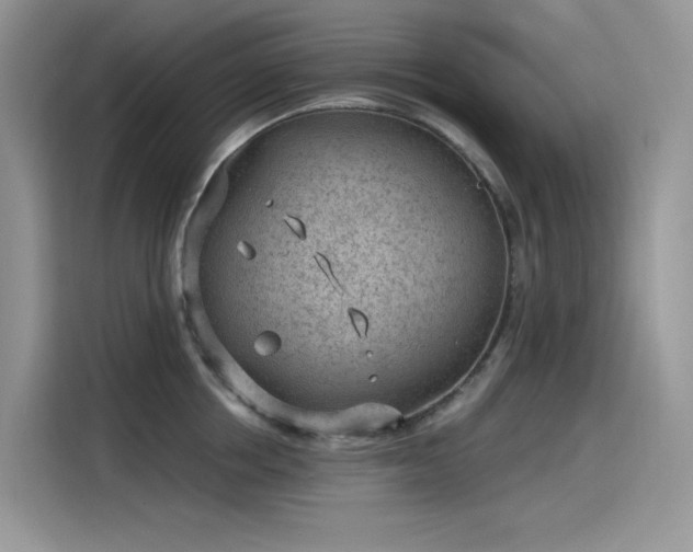 X0000115530858200911131504