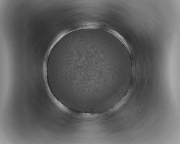 X0000115530859200911131504