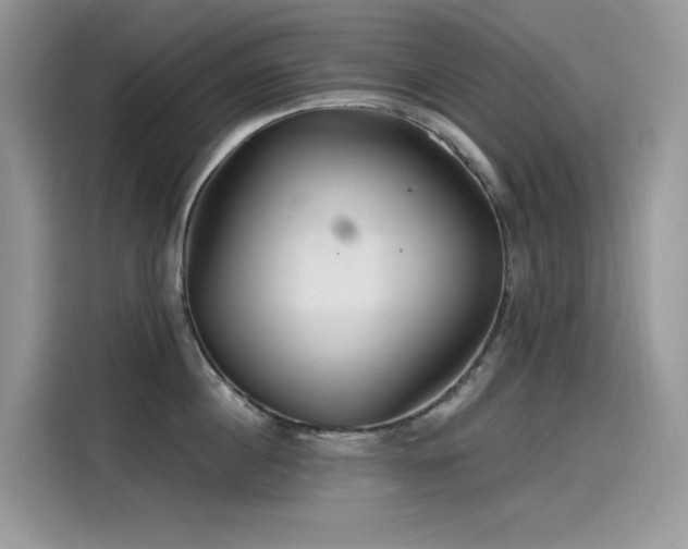 X0000115530860200911131504