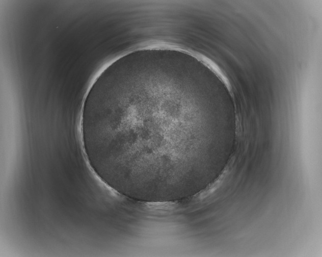 X0000115530863200911131504