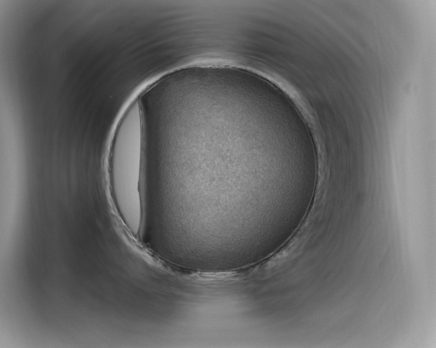 X0000115530864200911131504