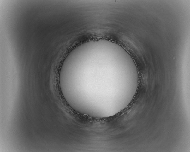 X0000115530865200911131503