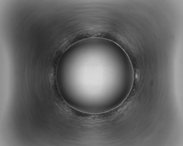 X0000115530867200911131503