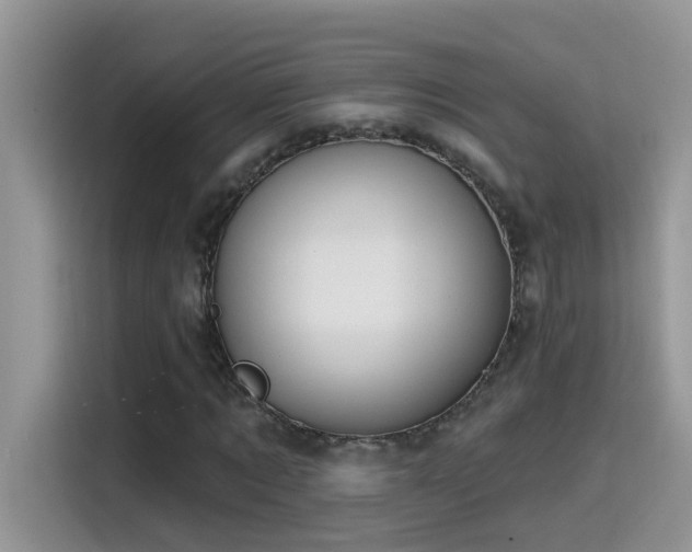 X0000115530869200911131503