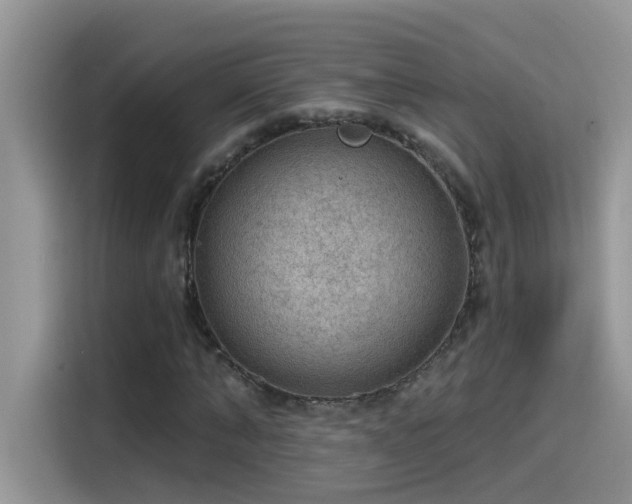 X0000115530870200911131503