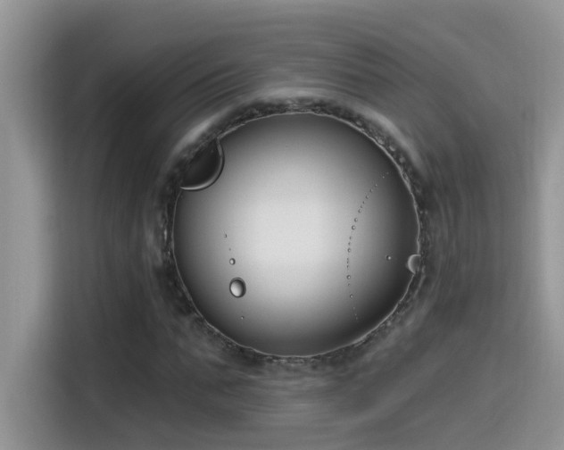 X0000115530871200911131503