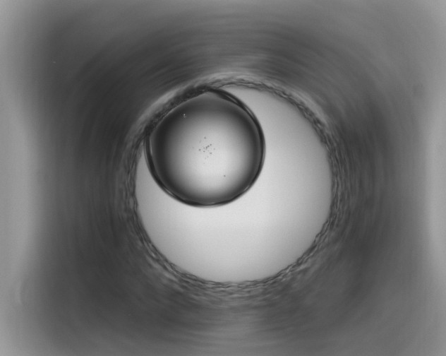 X0000115530872200911131503