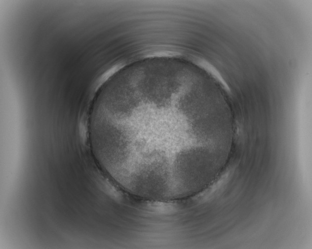 X0000115530874200911131503