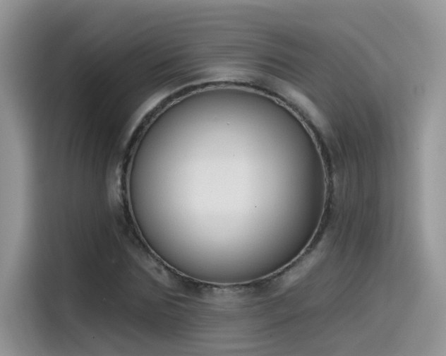 X0000115530875200911131503