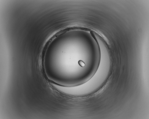 X0000115530877200911131503