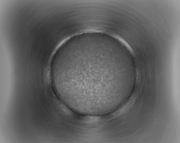 X0000115530878200911131503