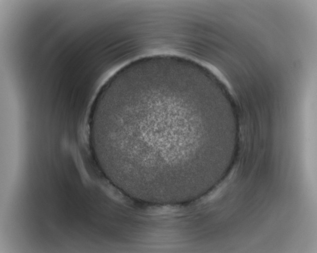 X0000115530879200911131503